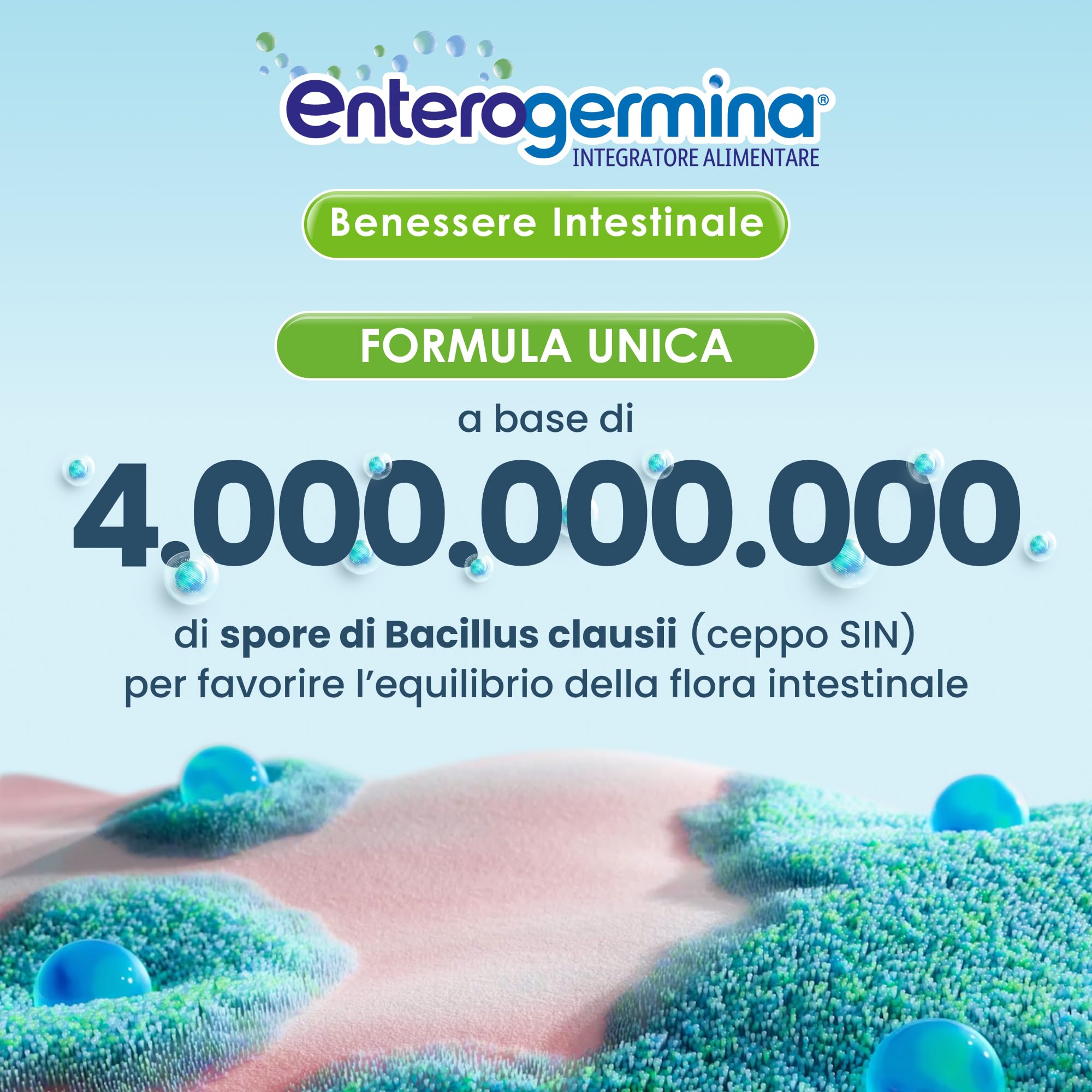 enterogermina-benessere-intestinale-probiotici-10-flaconcini-5-ml image 2